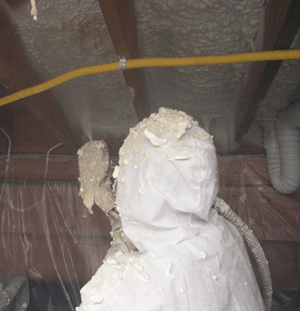  NY crawl space insulation